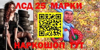 крисы Кандалакша