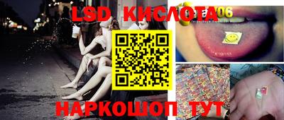 спиды Камышлов