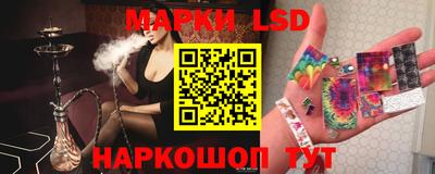 спиды Камышлов