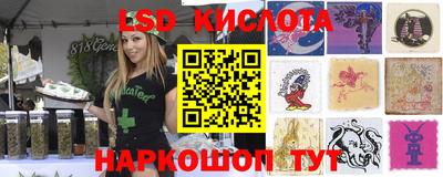 крисы Кандалакша
