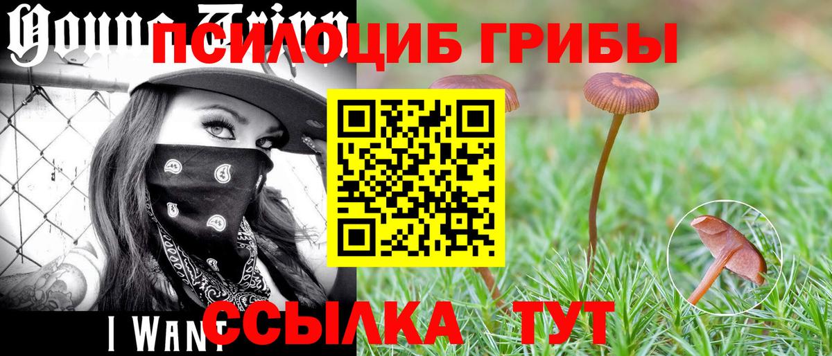 Галлюциногенные грибы GOLDEN TEACHER Кувандык